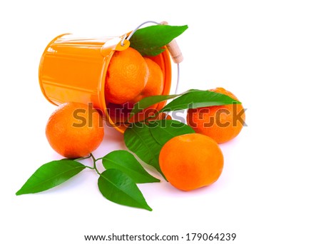 Orange metallic bucket with fresh mandarins fall down, tasty ripe citrus scattered on white background, tropical fruits full of vitamins