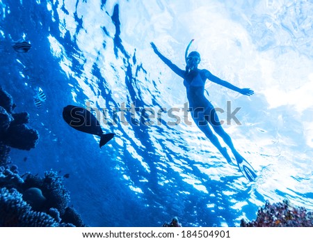 Active woman diving in the sea and enjoying wild nature, swimming underwater and consider different fishes, extreme sport, luxury summer vacation concept