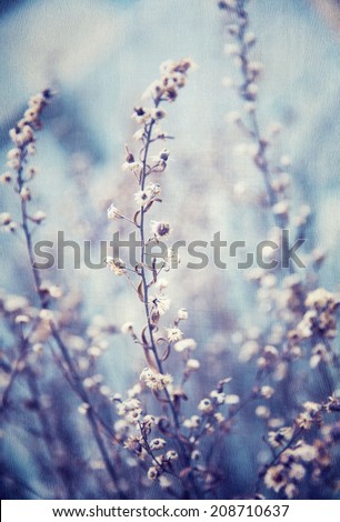 Blue floral background, little gentle flowers, beautiful natural mobile screenrsaver, vintage style image, flowery wallpaper