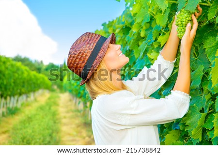 Woman pluck grape from the vineyard, cute young farmer, harvest season, Italian winery