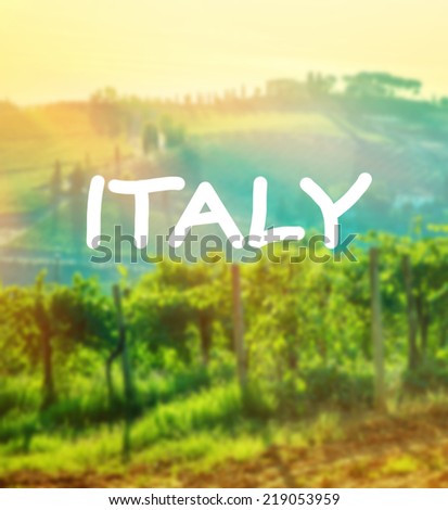 Beautiful landscape, vineyard in mild sunset light, Italian cultivated plantation, autumn nature, harvest season concept