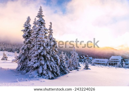 Winter landscape,  luxury ski resorts in Europe, beautiful pine trees around little houses on the mountains covered with snow,  beauty of wintertime nature