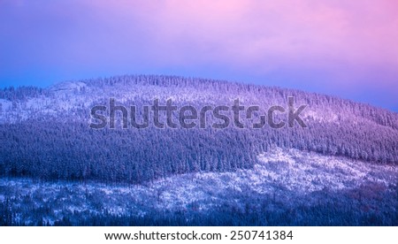 Beautiful mountains view, gentle purple sunset over mountain covered with pine woods and snow, amazing winter landscape, beauty of nature