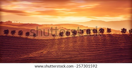 Beautiful countryside landscape, amazing orange sunset over golden soil hills, beauty of nature, agriculture and farming season, Tuscany, Italy