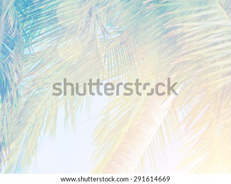 Beautiful tropical vintage background, palm leaves in bright sun light, fresh green exotic tree on blue sky backdrop, summer vacation concept