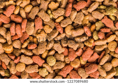 Dry pet food. Texture of cat kibble food.
