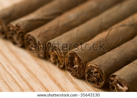 the detail of cuban cigar