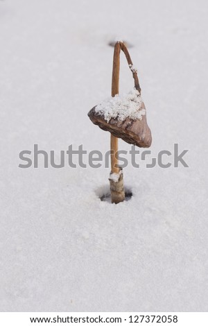 The dry lotus stem in the snow