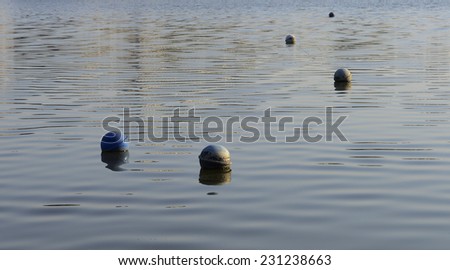 Several plastic debris on the surface of the water