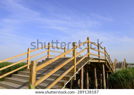 Beautiful wooden bridge in wetland park