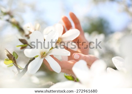 Women\'s hands, natural beauty. Female hands on a background of white magnolia flowers