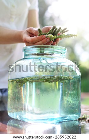 Shoots pine, nature and health.\
A woman washes in a jar pine shoots