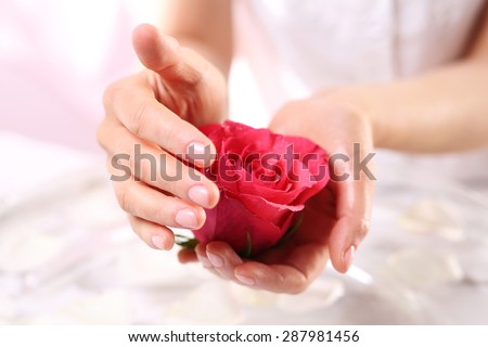 Beauty salon, manicure rose. Beautiful and delicate, feminine hands with flower red rose