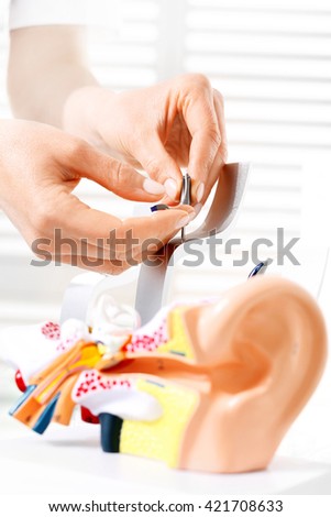 Hearing aid. The choice of hearing aid hearing care professional