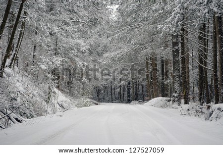 Snow covered road leading into the Cherokee National Forest in beautiful East Tennessee.  Part of the Appalachian Mountains.