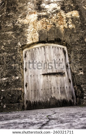Old creepy castle dungeon door and wall