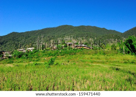 rural community in north of thailand and green field