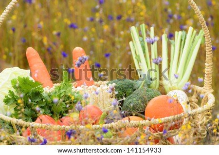 Fruit and vegetables in basket on field of wild flowers