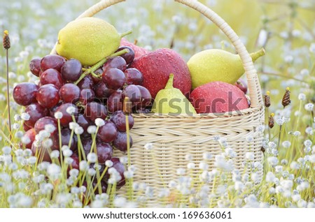 Fruits in basket on field of wild flower