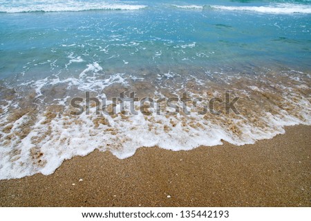The wave surges on sandy coast