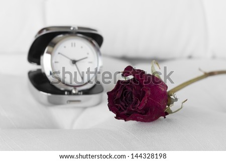 Withered rose. Time passes