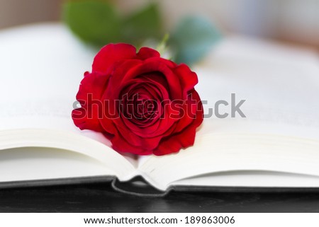 The open book and a red rose
