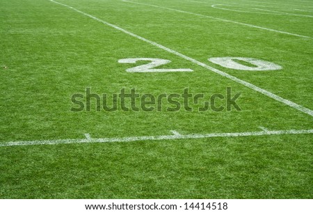 American football field grass - 20 yards mark