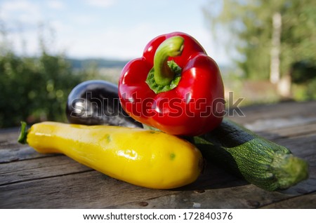 Colorful summer vegetable on rustical table at the garden