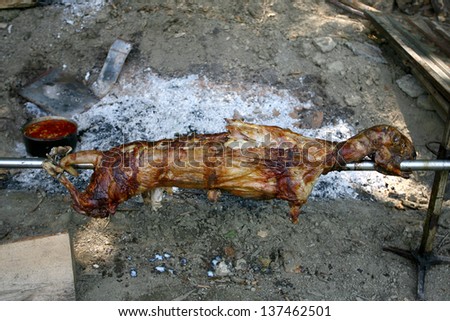 Barbecue in the forest.shashlik at nature.Process of cooking meat on barbecue, closeup.Barbecue with meat in metal grate, closed-up in forest, turning the grill