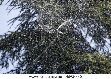 Detail of a working lawn sprinkler head watering