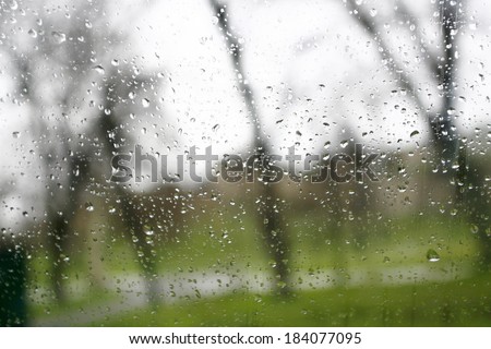 Drops of rain on a window pane and nature
