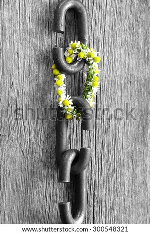 a chain is only as strong as its weakest link proverb one link made of flowers