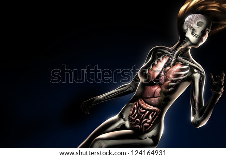 female anatomy on black