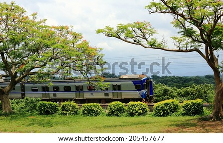 A train pass by beautiful Delonix Regia trees