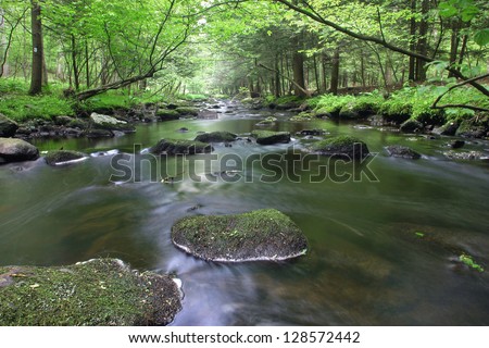 The Big Flatbrook flows through Stokes State Forest in Montague, New Jersey in summer.