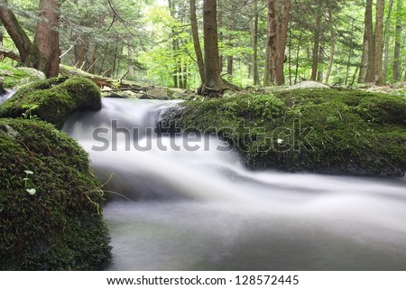 Parker Brook flows through Stokes State Forest in Montague, New Jersey in summer.