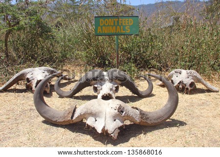 A sign, flanked by the skulls of water buffaloes, cautions visitors to not feed the animals on the floor of the Ngorongoro Crater in Tanzania, Africa.