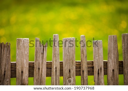 Old wood fence in garden