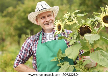 Happy mature man with sunflower in garden