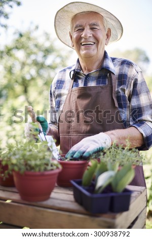 Retired old man replanting flowers in the garden