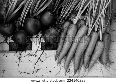 Carrots and Beetroot in Black and White