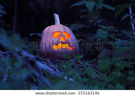 Still life with halloween pumpkin in the dark forest
