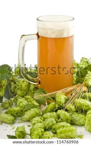 Glass of fresh beer, green hop cones and barley ears