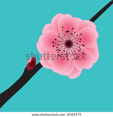 stock vector vector image of sakura flower