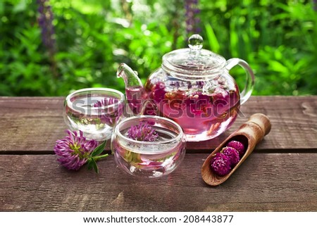 clover flower tea in the glass cups and teapot on a wooden table