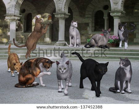 Cats on the Palace Steps Nine breeds of cats sit on the steps and porch outside an ancient palace. Each cat is staging a different pose, position or activity.