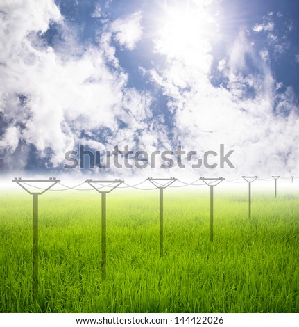 grass field and electricity post on Future