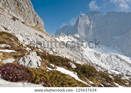 Majestic mountains: a majestic mountains in spring, with some snow still on the ground and the first spring flowers in the foreground