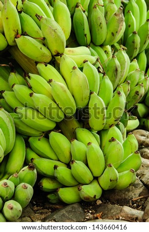 The banana raw green pretty is the stem to arrange on ground