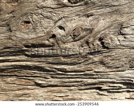 Wood texture on hard light